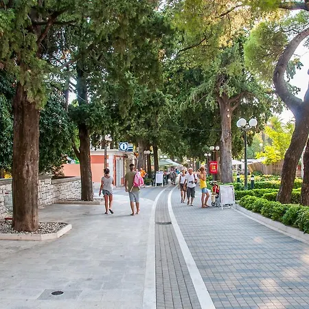 Xxl Rio Lejlighed Mokošica